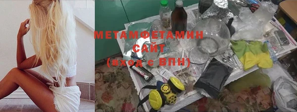 гидра Алексеевка