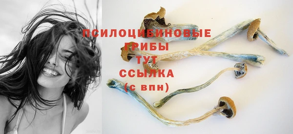 гидра Алексин