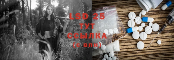 PSILOCYBIN Абдулино