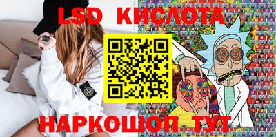 индика Гай