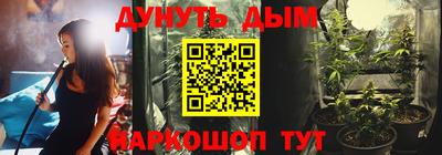 индика Гай