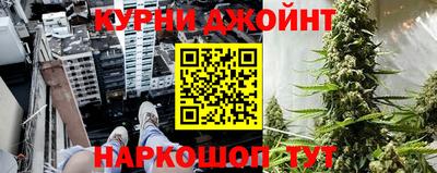 индика Гай