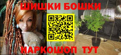 индика Гай