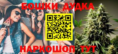 индика Гай