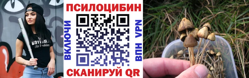 Галлюциногенные грибы Psilocybine cubensis  Кандалакша 